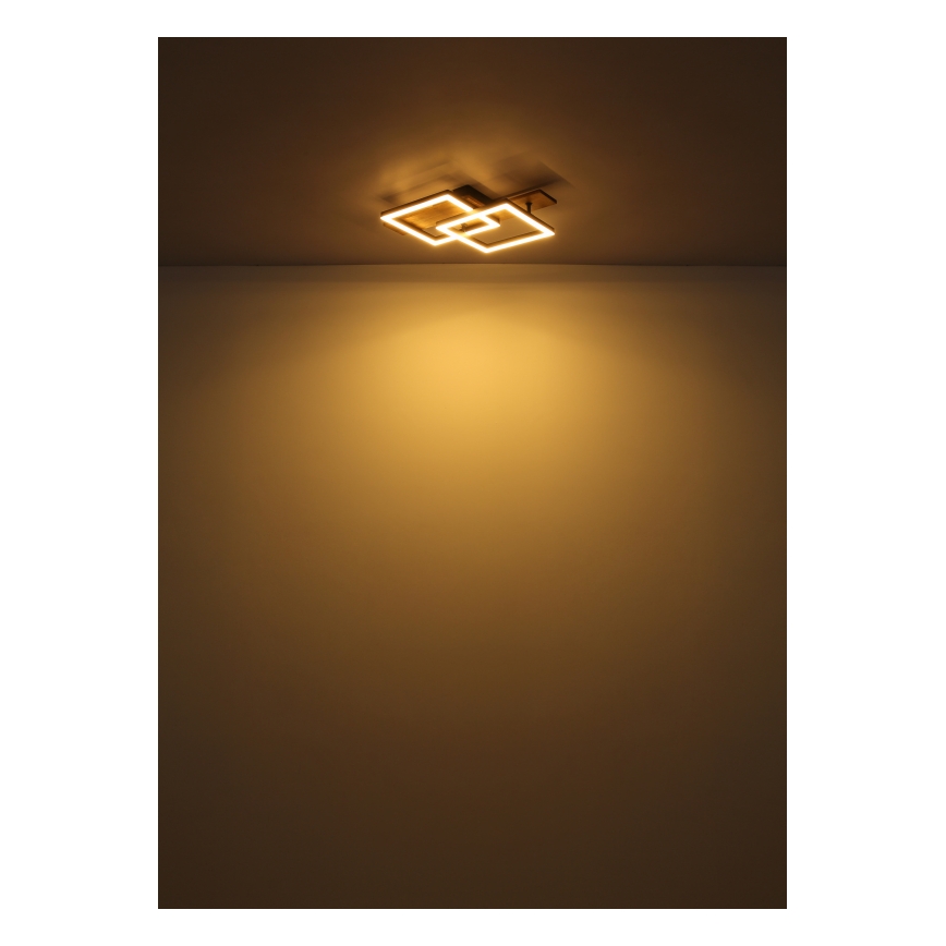 Globo - Lámpara de techo LED/16W/230V 3000K 33x44 cm