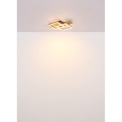 Globo - Lámpara de techo LED/16W/230V 3000K 33x44 cm