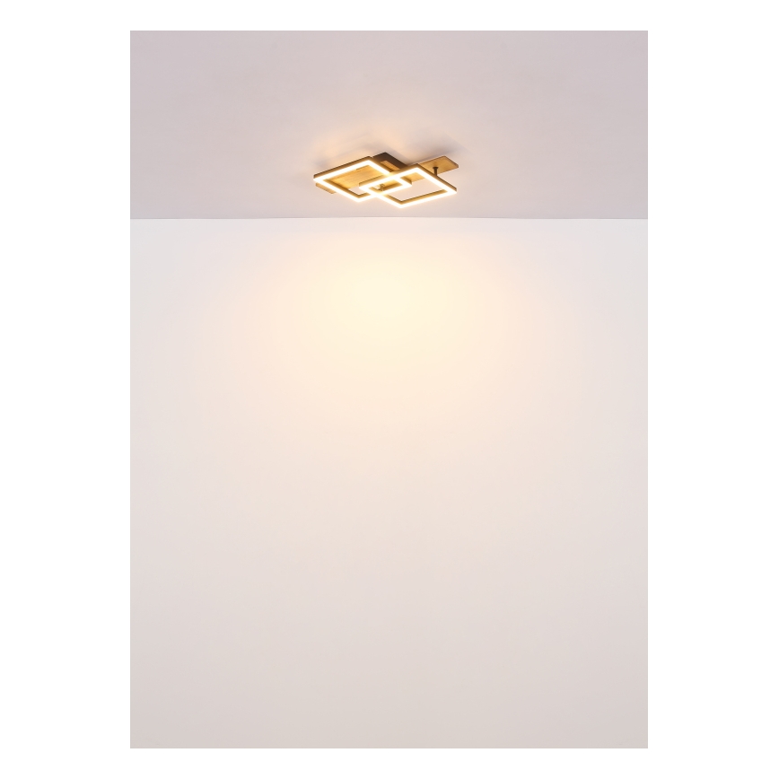 Globo - Lámpara de techo LED/16W/230V 3000K 33x44 cm