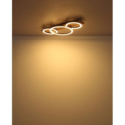 Globo - Plafón LED LED/24W/230V 3000K 30x62 cm