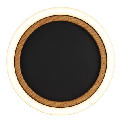 Globo - Lámpara de techo LED, 12 W, 230 V, 3000 K, Ø 20,5 cm