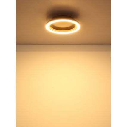 Globo - Lámpara de techo LED, 12 W, 230 V, 3000 K, Ø 20,5 cm