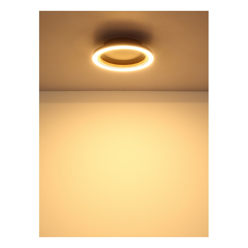 Globo - Lámpara de techo LED, 12 W, 230 V, 3000 K, Ø 20,5 cm