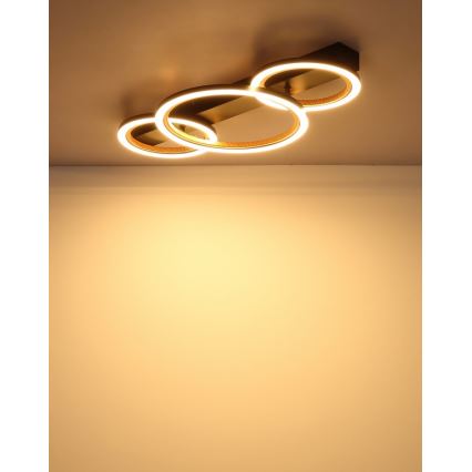 Globo - Luminaria de techo LED/40W/230V 3000K 58x30 cm