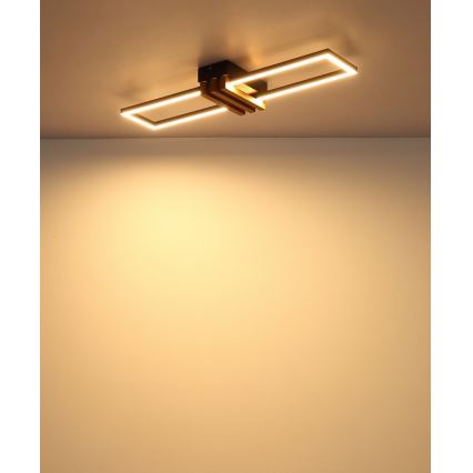 Globo - Lámpara de techo LED/20W/230V 3000K 60x16,8 cm