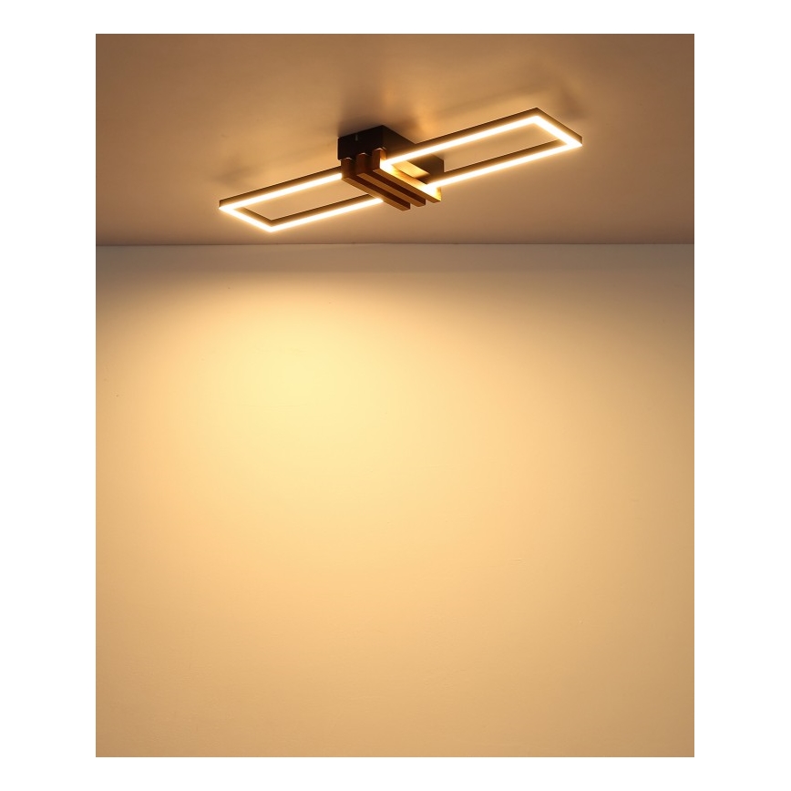 Globo - Lámpara de techo LED/20W/230V 3000K 60x16,8 cm