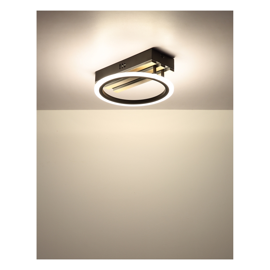 Globo - Lámpara de techo LED LED/10W/230V 3000/4200/600K 25x25 cm