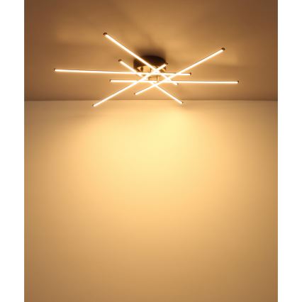 Globo - Plafón LED LED/40W/230V 3000K negro