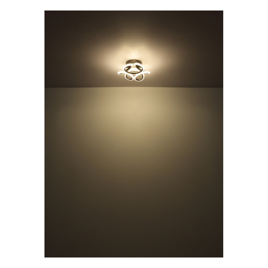 Globo - Plafón LED LED/24W/230V 2700/4000/6000K diá. 26 cm negro