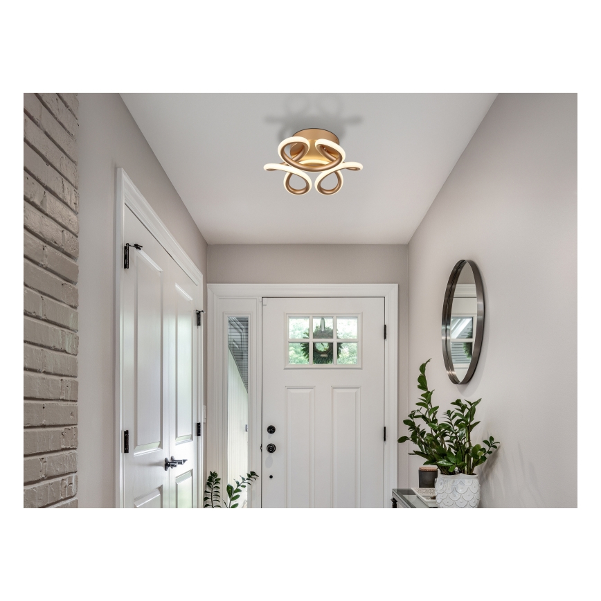 Globo - Lámpara de techo LED LED/24W/230V 2700/4000/6000K Ø 26 cm dorado