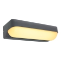 Globo - Aplique LED de exterior LED/10W/230V IP54