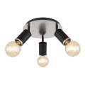 Globo - Foco 3xE27/60W/230V madera negra