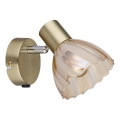 Globo - Foco de pared 1xE14/40W/230V dorado