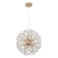 Globo - Lámpara colgante LED con cable 8xG9/3,5W/230V Ø 40 cm dorada