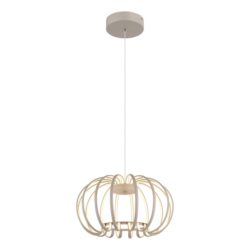 Globo - Lámpara colgante regulable con cable LED/40W/230V 3000K