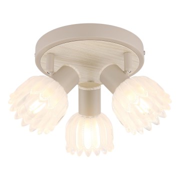 Globo - Lámpara de focos 3xE14/40W/230V