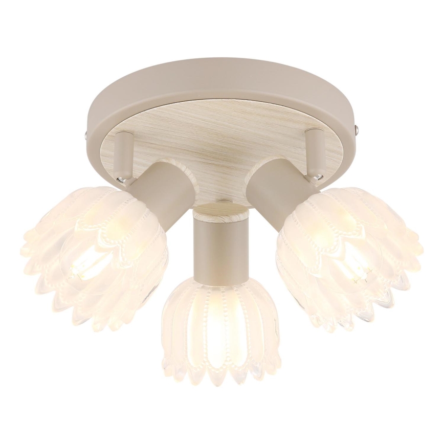 Globo - Lámpara de focos 3xE14/40W/230V