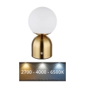 Globo - Lámpara de mesa táctil LED regulable LED/2,5W/3,7V 2700K/4000K/6500K 1800 mAh USB latón