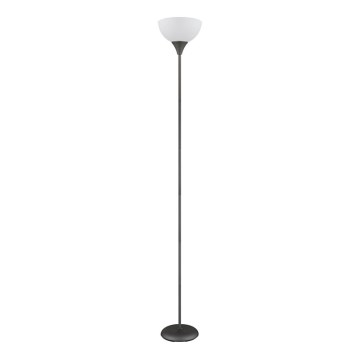 Globo - Lámpara de pie 1xE27/60W/230V