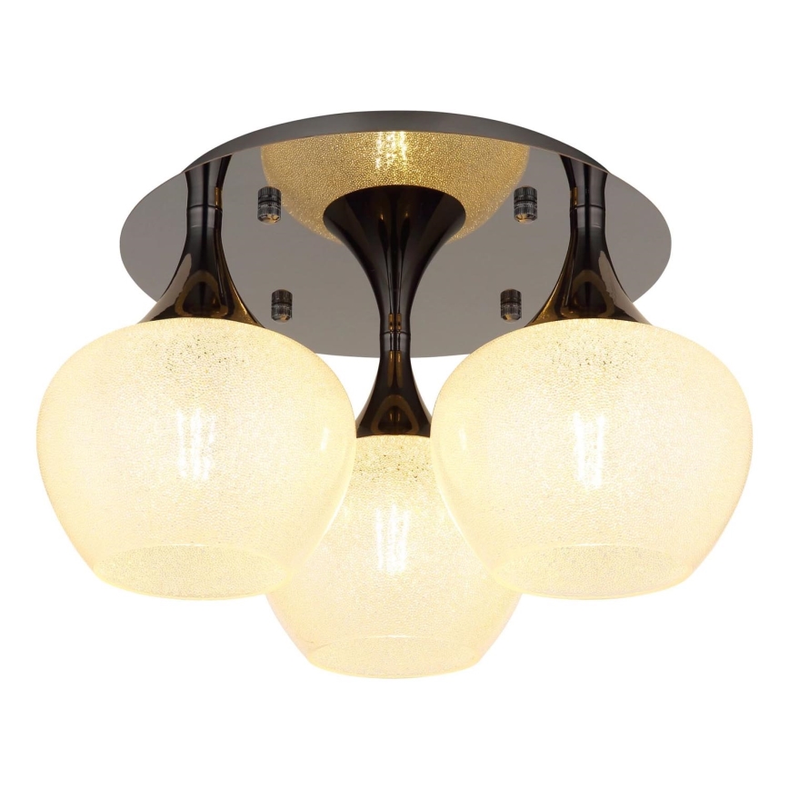 Globo - Lámpara de techo 3xE27/40W/230V antracita