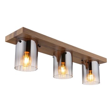 Globo - Lámpara de techo 3xE27/40W/230V