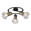 Globo - Lámpara de techo con 3 focos E27/40W/230V