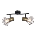 Globo - Lámpara de techo con dos focos 2xE27/40W/230V