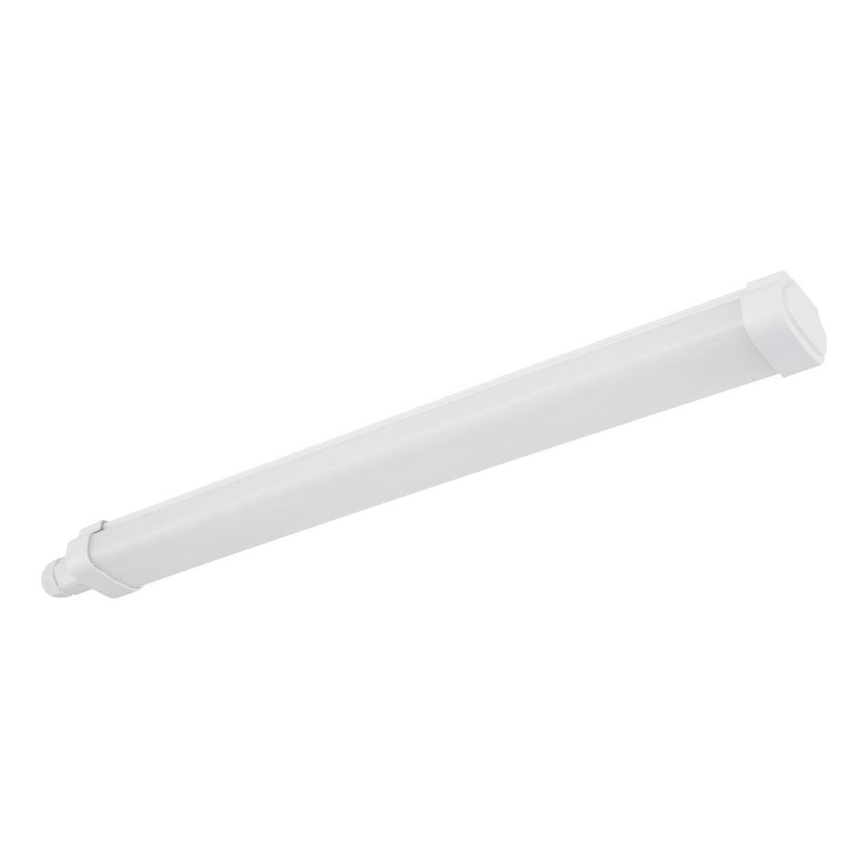 Globo - Lámpara LED debajo del gabinete LED/15W/230V 55 cm IP65