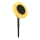 Globo - Lámpara solar LED LED/0,06W/3V sunflower IP44 800 mAh