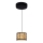 Globo - LED Lámpara colgante LED/6W/230V