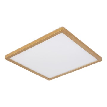 Globo - Luz de techo LED regulable para baño LED/18W/230V 3000K IP44 29,4x29,4 cm latón