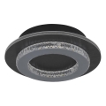 Globo - Plafón LED/12W/230V 3000/4000/6500K, diámetro 20 cm, antracita