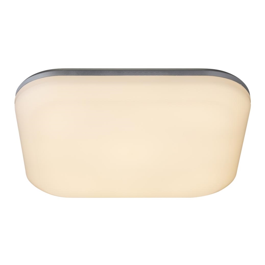 Globo - Plafón LED de exterior LED/24W/230V IP54
