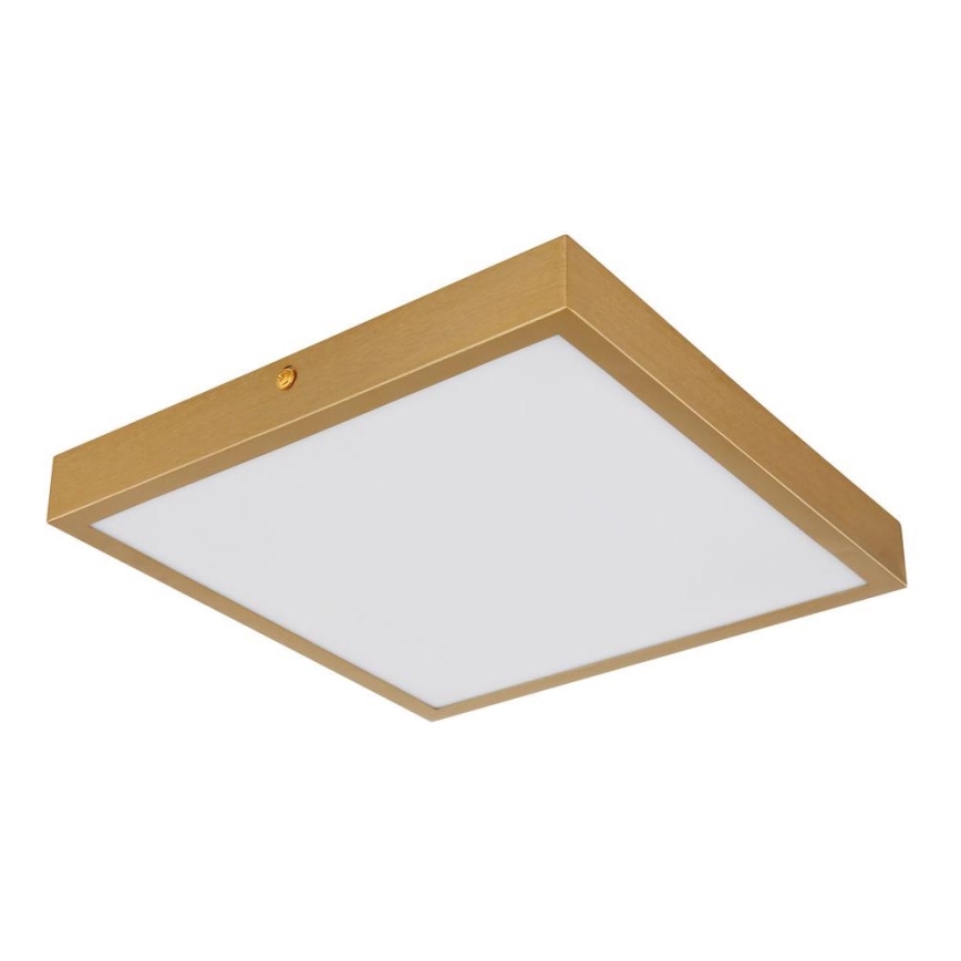 Globo - Plafón LED LED/15W/230V 25x25 cm