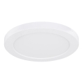 Globo - Plafón LED LED/18W/230V 3000/4000/6500K blanco