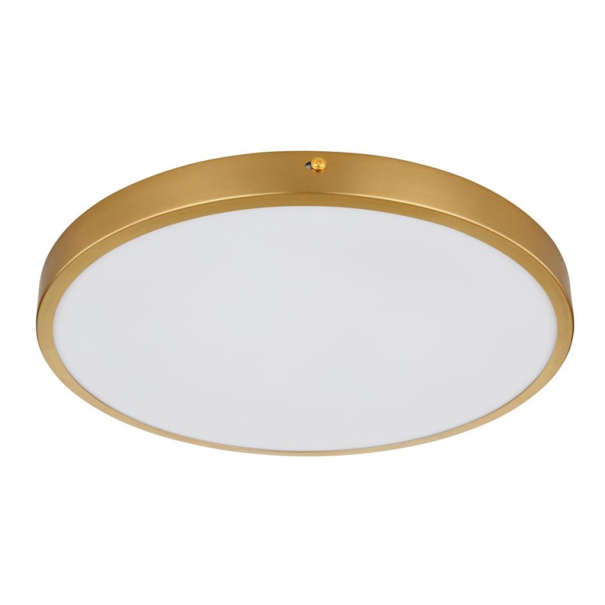 Globo - Plafón LED LED/22W/230V diá. 35 cm
