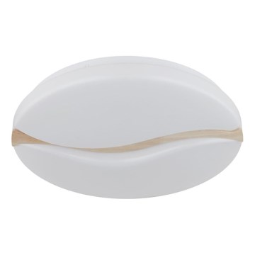 Globo - Plafón LED LED/24W/230V 3000/4200/6000K diá. 39 cm