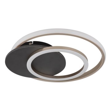 Globo - Plafón LED LED/24W/230V