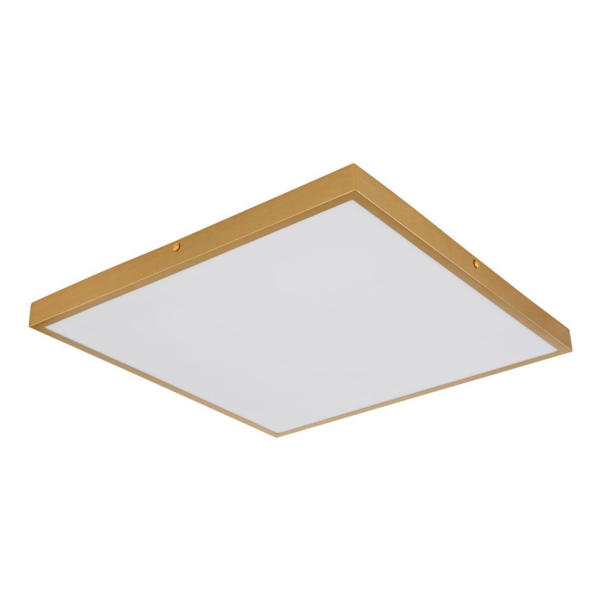 Globo - Plafón LED LED/30W/230V 45x45 cm
