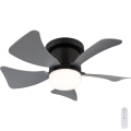 Globo - Ventilador de techo LED regulable LED/10W/230V 3000-6500K gris + mando a distancia