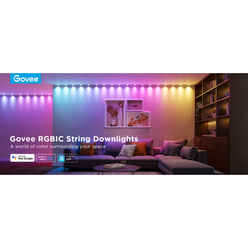 Govee - Cadena de luces LED RGBIC 5m Wi-Fi
