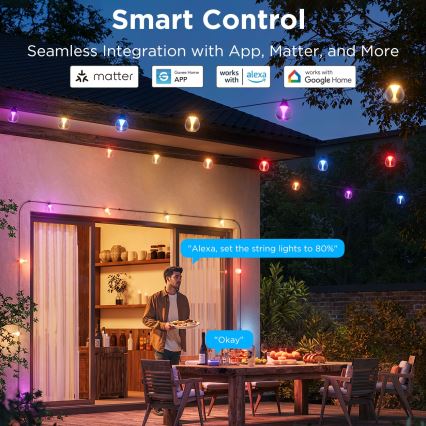 Govee - Cadena LED decorativa de exterior regulable RGBICW LED/24W/230V IP67 2700-6500K Wi-Fi