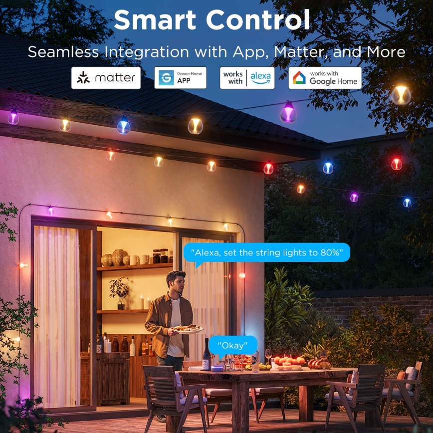 Govee - Cadena LED decorativa de exterior regulable RGBICW LED/24W/230V IP67 2700-6500K Wi-Fi