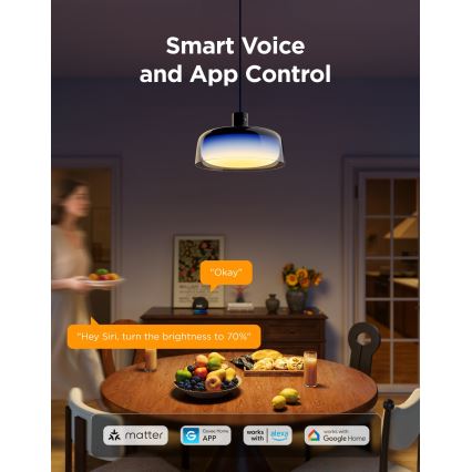 Govee - Lámpara colgante regulable LED RGBICWW en cable LED/21W/230V Matter Wi-Fi