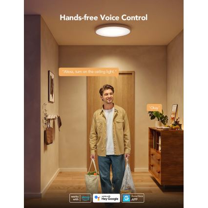 Govee - Luminaria de techo LED RGBICWW regulable LED/29W/230V diámetro 30 cm Matter Wi-Fi