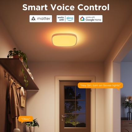 Govee - LED RGBIC Plafón regulable LED/24W/230V 2700-6500K Wi-Fi