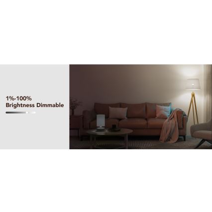 Govee - LED RGBWW Bombilla Inteligente E27/12W/230V 2700-6500K Wi-Fi