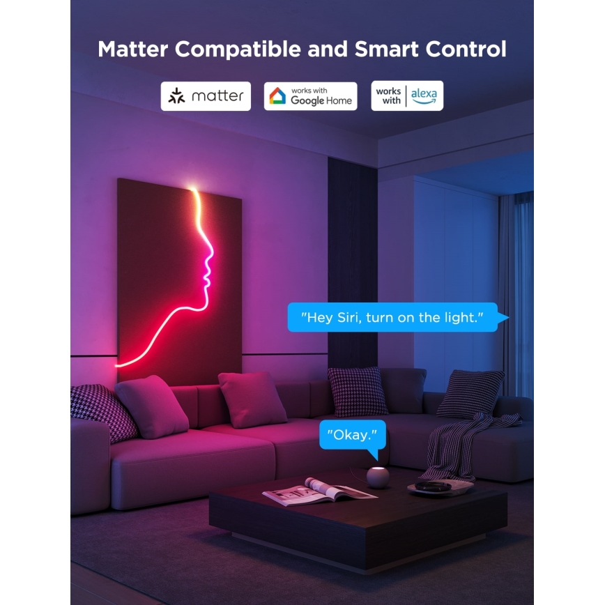 Govee - Neon 2 MATTER tira LED flexible 3 m RGBIC Wi-Fi
