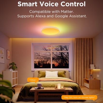 Govee - Plafón LED RGBIC regulable LED/49W/230V 2700-6500K Wi-Fi