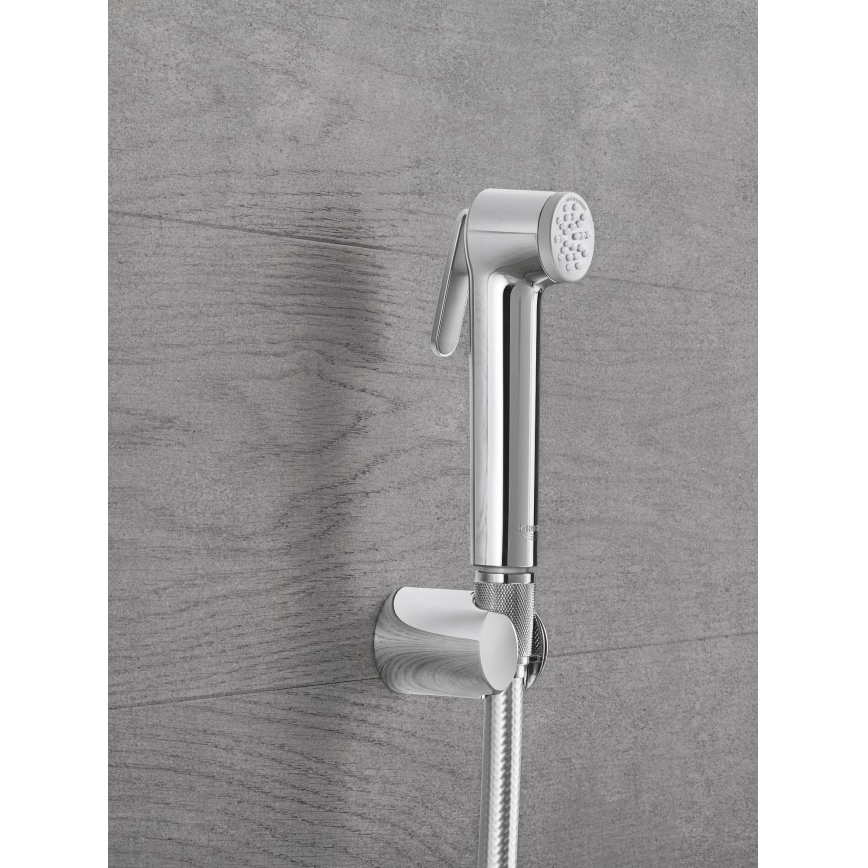 GROHE 26352000 - Ducha de mano TEMPESTA-F TRIGGER SPRAY 30 36 mm cromo brillante